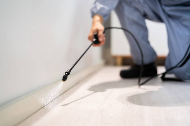 Professional exterminator conducting IPM assessment in DeLand